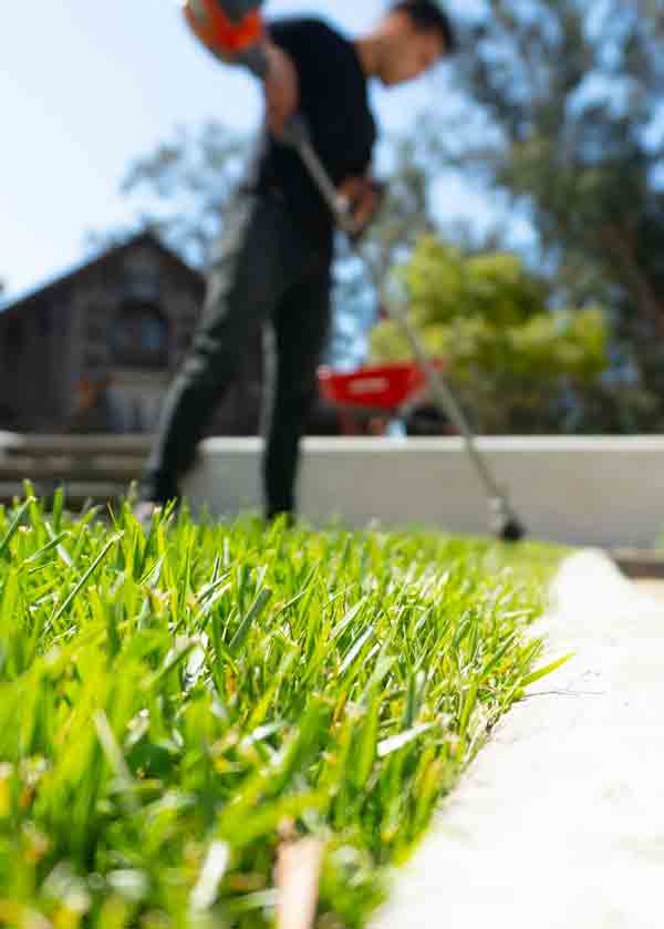 lawn care and landscaping in monument